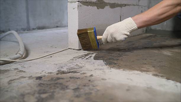 Top rated local Crawl Space Encapsulation specialists in Granville, TN